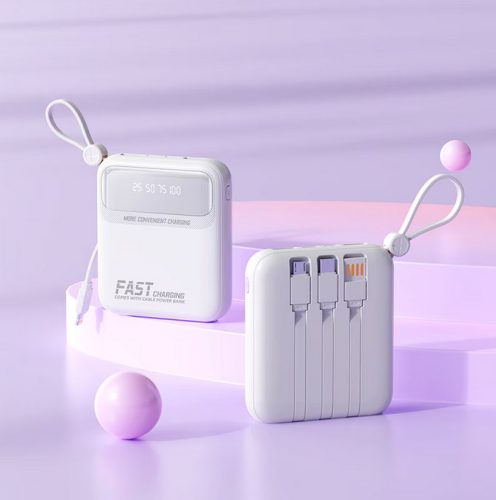 10000mAh Power Bank
