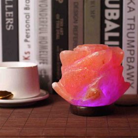 Só Lámpa – Harmónia és Esztétikum Egyesítve
